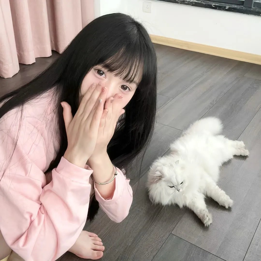 伯特·克赖舍：今夜来狂欢